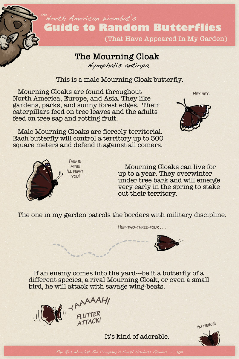 The Mourning Cloak
