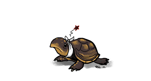 Turtle-Bob the Third