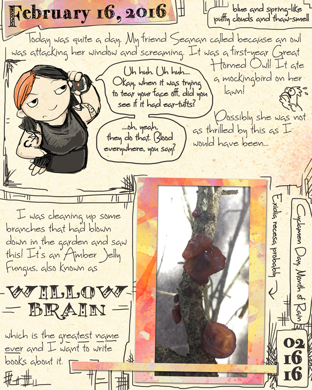 Owl and Willow Brain Journal
