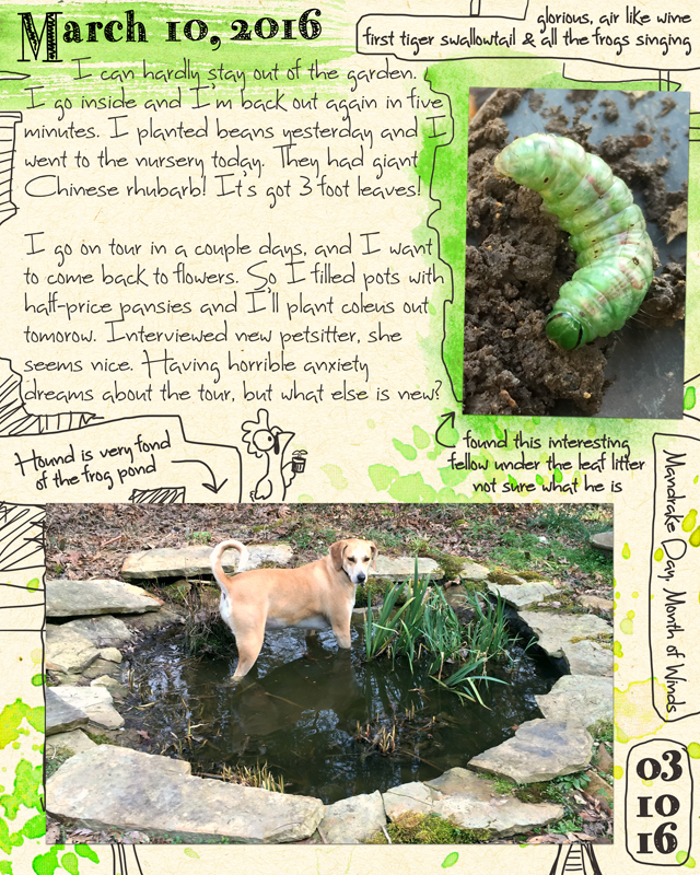 Dog In Frog Pond Journal