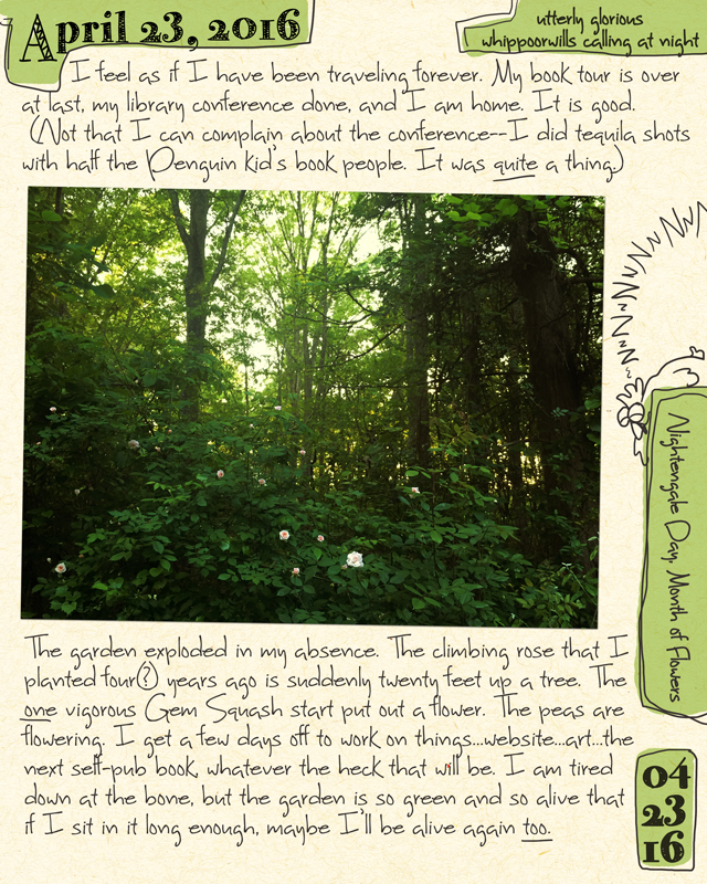 Journal4-23-16
