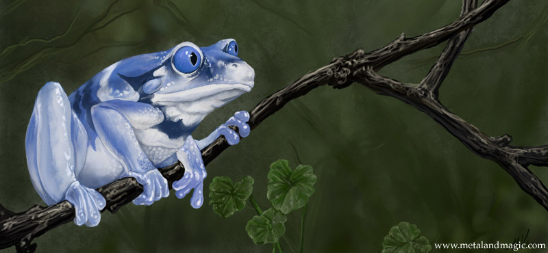 Alternate Frog I