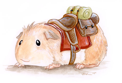 Saddle Guinea