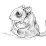 Saber-Toothed Mouse