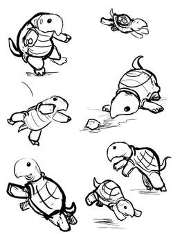 Turtle Sketches