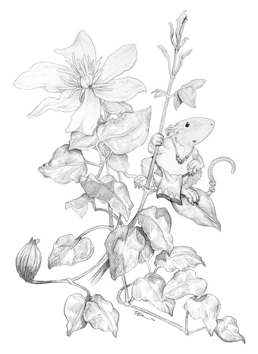 Clematis and Mouse