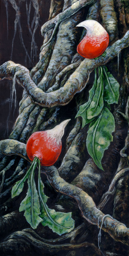 Radishes of Paradise by ursulav