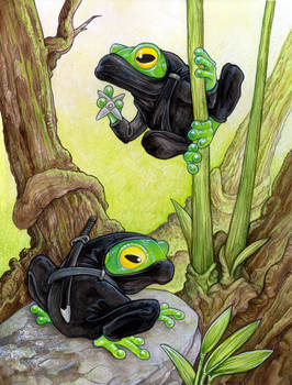 Ninja Frogs