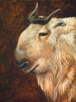 Golden Fleece