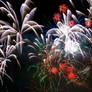 2010 Fireworks Celebration 2