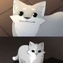 Polite/OiiaOiia Zoe