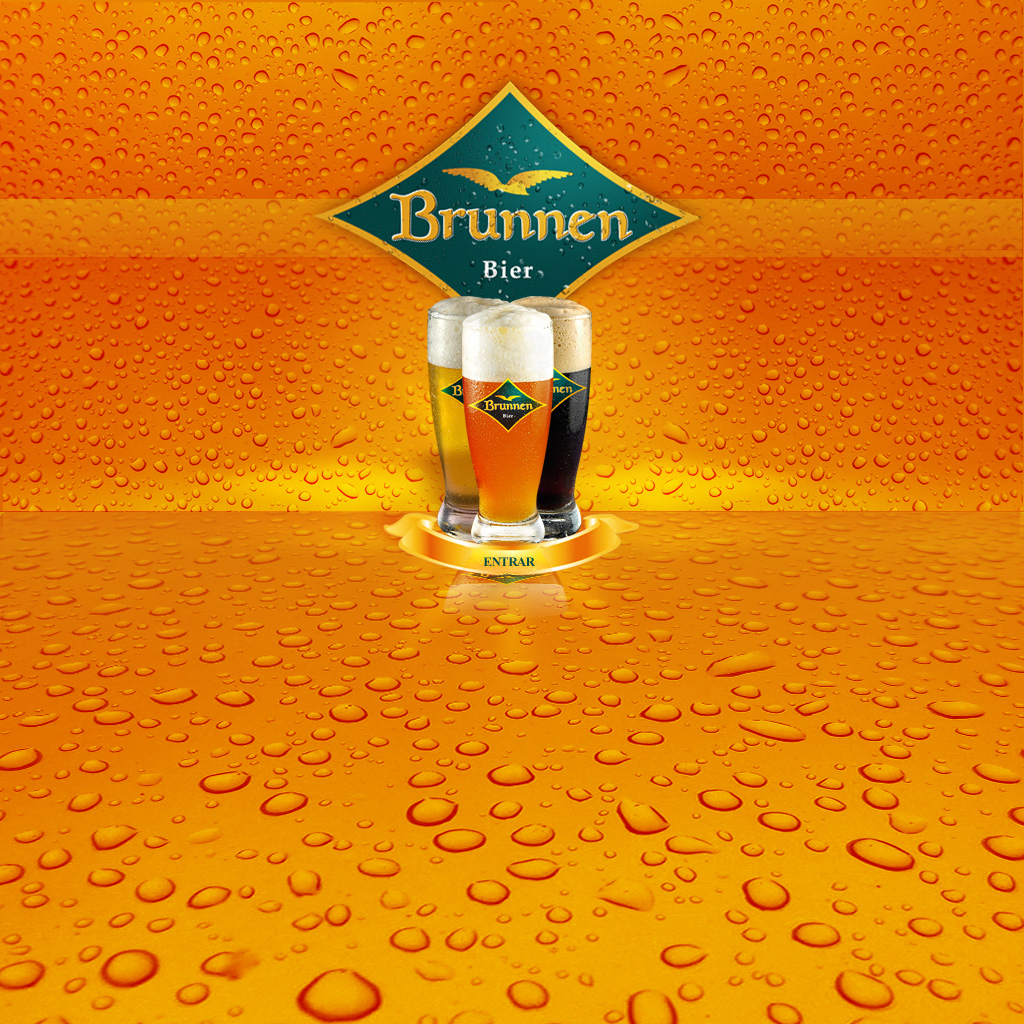 Cerveza Artesanal Brunnen