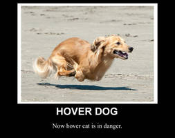 Hover Dog