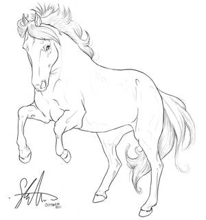 Horse Lineart