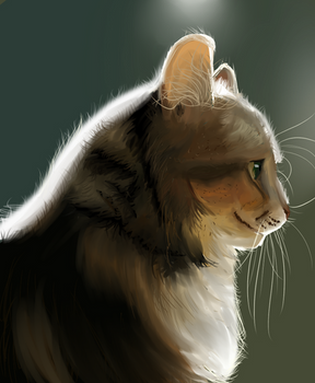Kitty Portrait