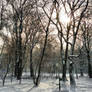 Winter in Cracow III