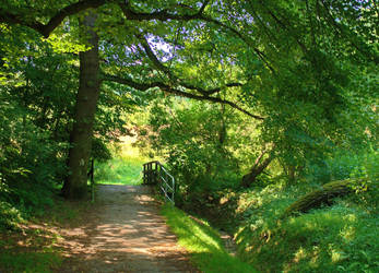 A foot-bridge