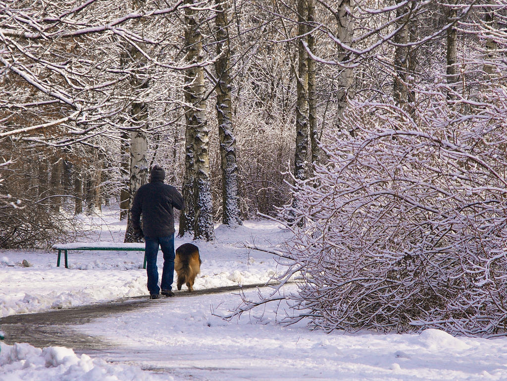 Snow and people (6)