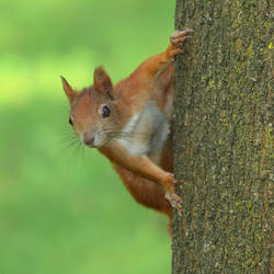 Playing hide and seek