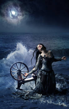 Lady of the Silver Wheel
