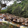 Mossman Gorge II