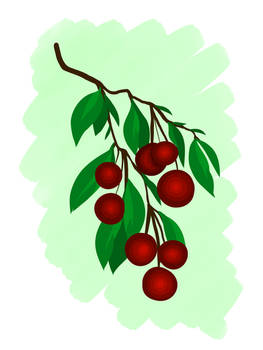 Cherries | Adobe Fresco
