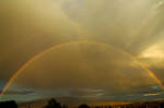 NM Rainbow by Jazzhead