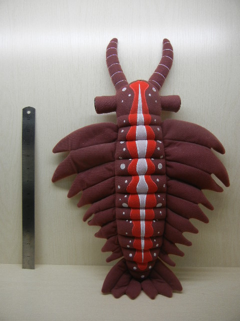 Andy the Anomalocaris - Final Prototype (Front)