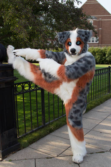 #6 of series 1: Stretching out before fursuiting