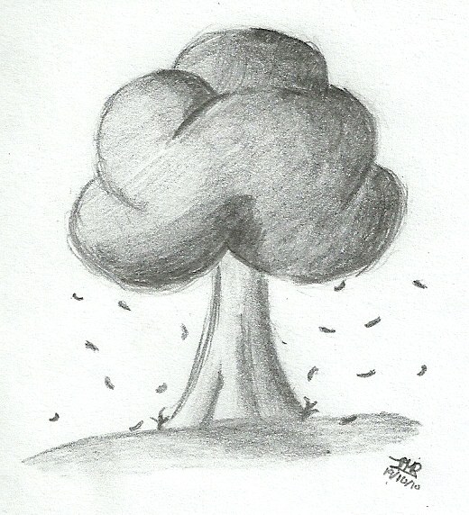 Sketched tree