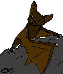 Ickle Batsies