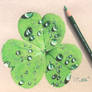 Shamrock