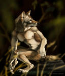 Werewolf by katanimate