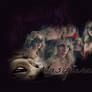 Caroline Forbes wall 3