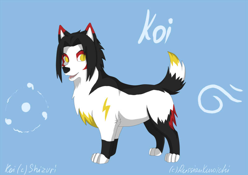 Gift - Koi