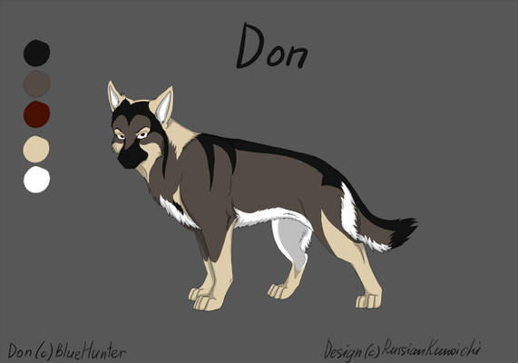 Scetch ref - Don