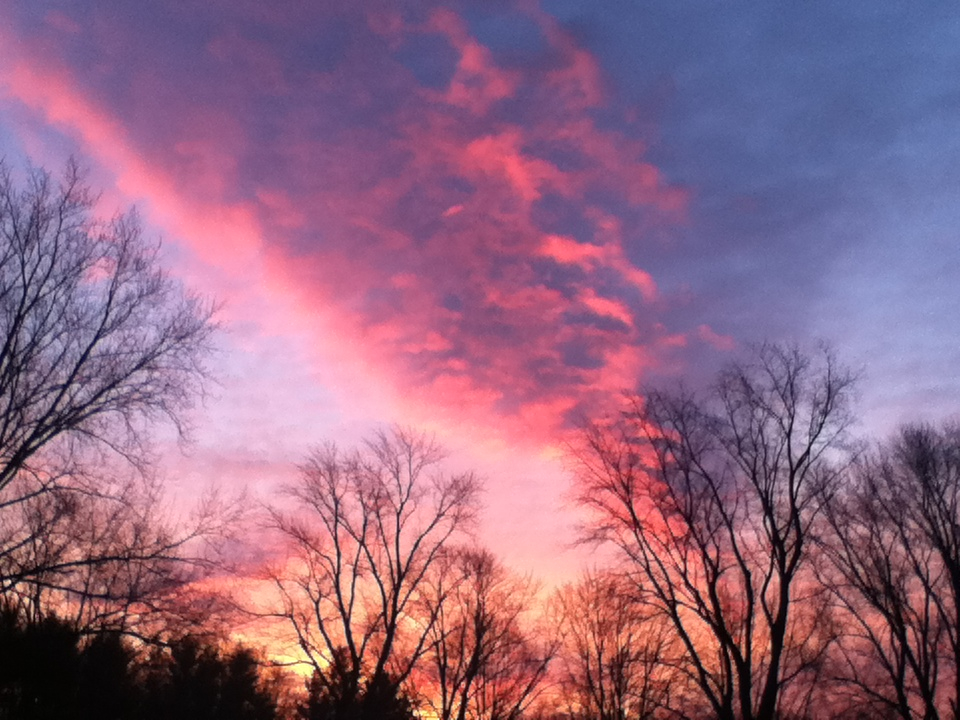 Cotton candy sky