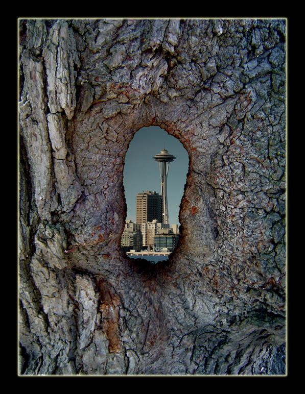 Metropolitan Tree by MadHatterVVVI on DeviantArt