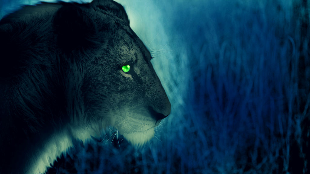random banner by Mafia--xX on DeviantArt