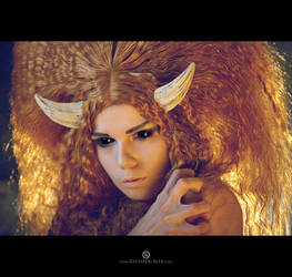 Faun