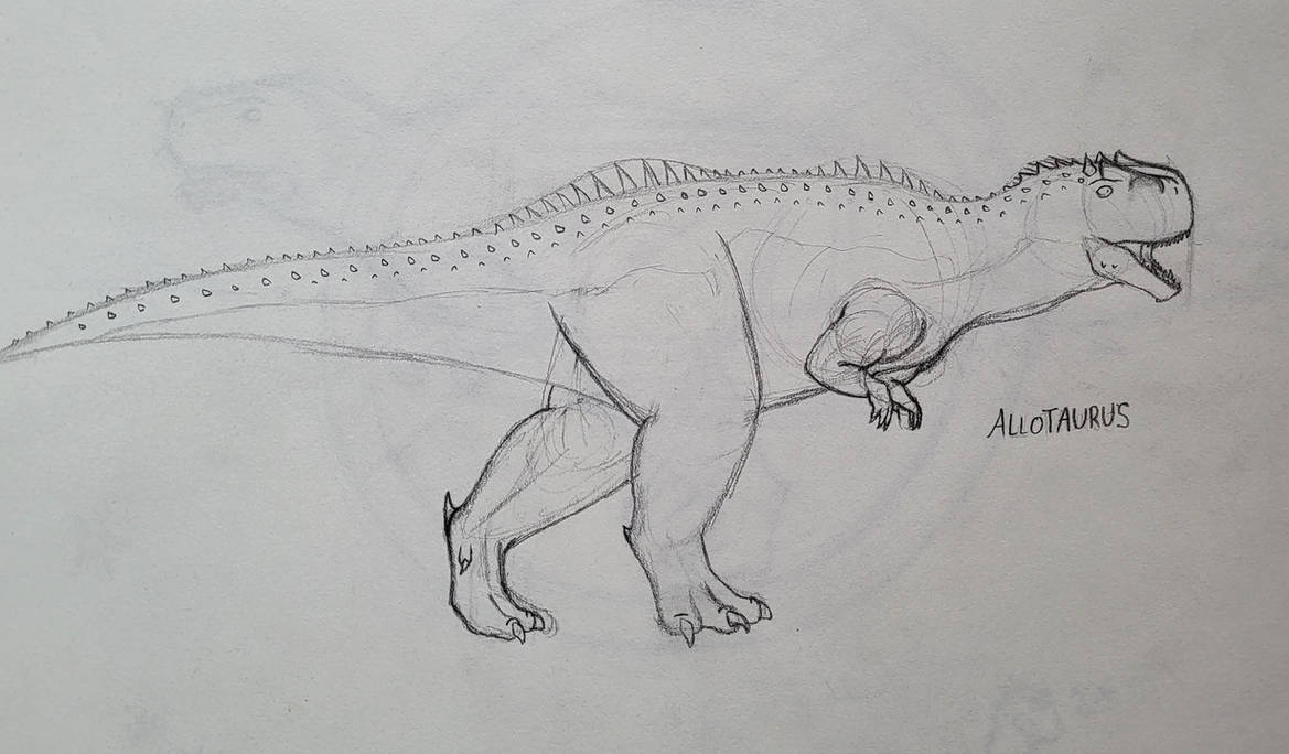 Allo Drawing Allotaurus by Dinodrawer567 on DeviantArt