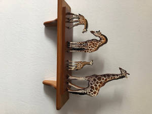 TransMask User Profile | DeviantArt