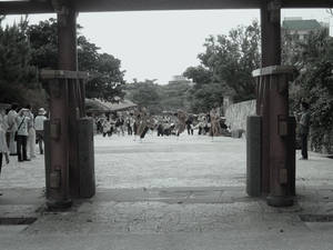 Okinawa Adventures: Shuri Gate