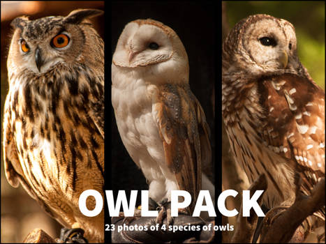 PWYW Owl Stock Pack