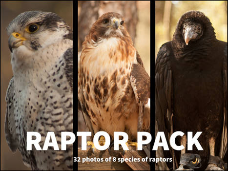 PWYW Raptor Stock Pack