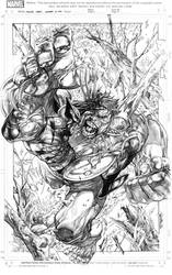 Wolverine vs Hulk