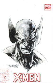 Wolverine sketch