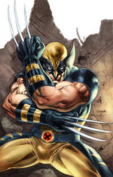 Wolverine colored