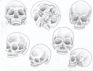 Shaded Skulls