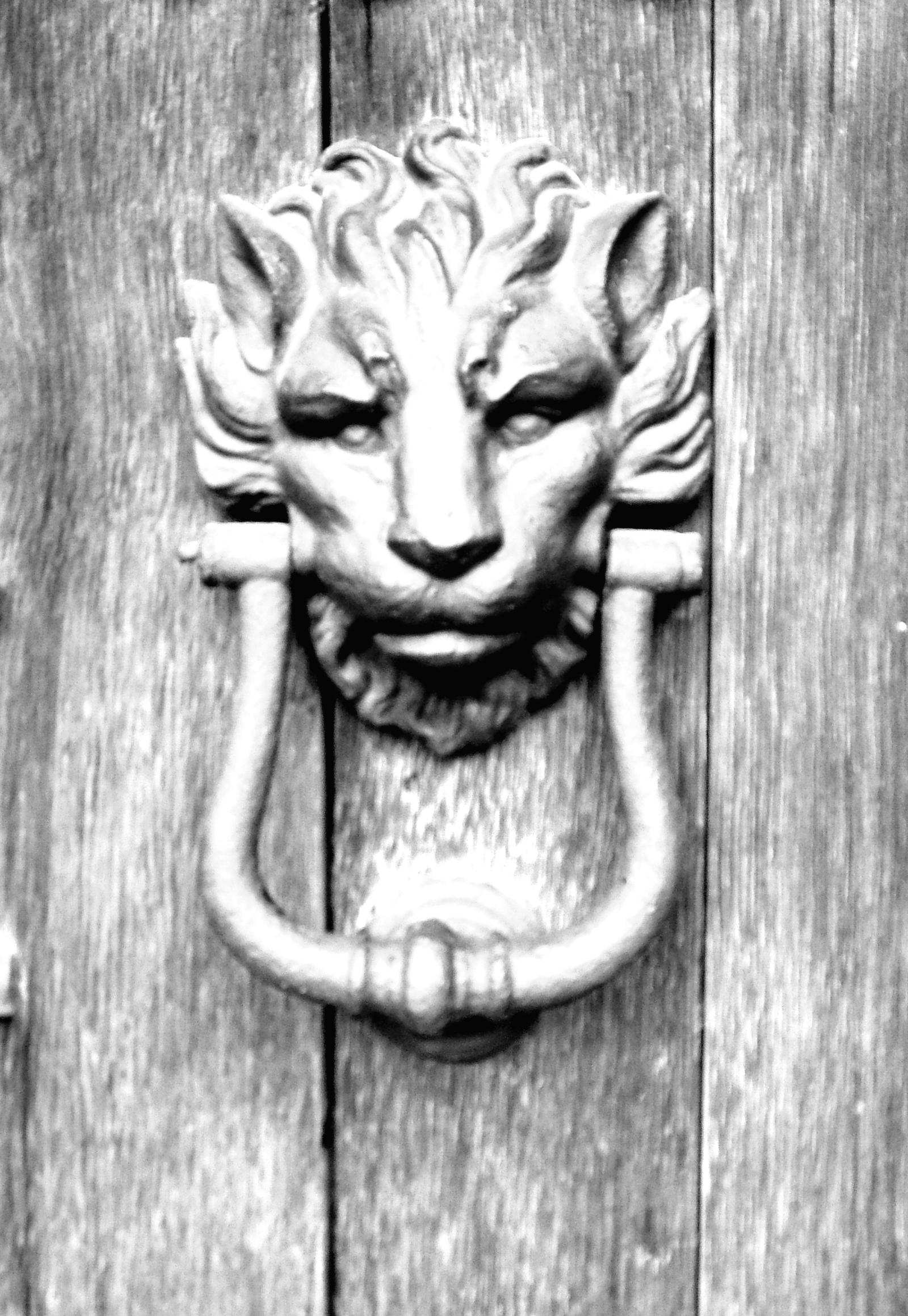 lion head door knocker by graphicrusty on DeviantArt